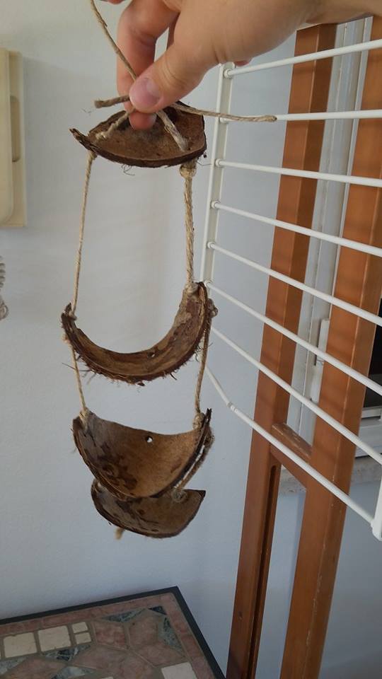 Gioco di cocco